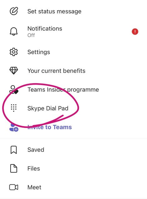"The mobile menu of the MS Teams app includes these items: Set status message, Notifications, Settings, Your current benefits, Teams Insider programme, Skype Dial Pad, Invite to Teams, Saved, Files and Meet."